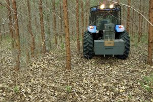 IMG_20180315_150617957 – Copia IMG_20180315_150617957 - Copia